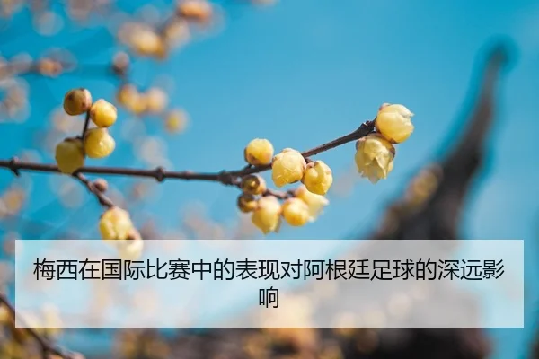 img_1792595162945_117_1_980.jpg